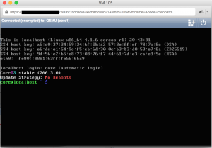 start.new.vm